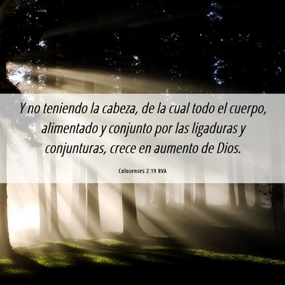 Picture 06 - Colosenses 2:19 RVA - Y no teniendo la cabeza, de la cual todo el - Bible Verse Picture