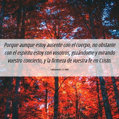 Picture 06 - Colosenses 2:5 RVA - Porque aunque estoy ausente con el cuerpo, no - Bible Verse Picture