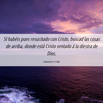 Picture 06 - Colosenses 3:1 RVA - SI habéis pues resucitado con Cristo, buscad las - Bible Verse Picture