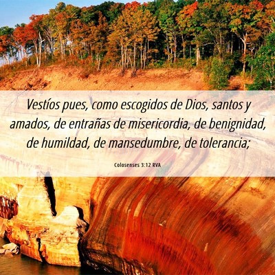 Picture 06 - Colosenses 3:12 RVA - Vestíos pues, como escogidos de Dios, santos y - Bible Verse Picture
