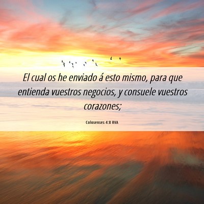 Picture 06 - Colosenses 4:8 RVA - El cual os he enviado á esto mismo, para que - Bible Verse Picture