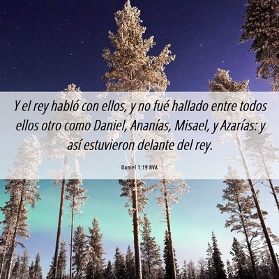 Picture 06 - Daniel 1:19 RVA - Y el rey habló con ellos, y no fué hallado - Bible Verse Picture