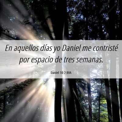Picture 06 - Daniel 10:2 RVA - En aquellos días yo Daniel me contristé por - Bible Verse Picture