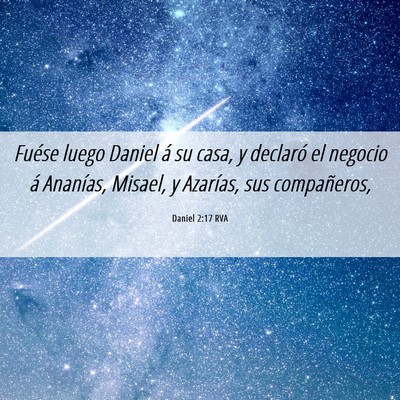 Picture 06 - Daniel 2:17 RVA - Fuése luego Daniel á su casa, y declaró el - Bible Verse Picture