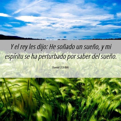 Picture 06 - Daniel 2:3 RVA - Y el rey les dijo: He soñado un sueño, y mi - Bible Verse Picture