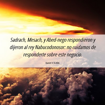 Picture 06 - Daniel 3:16 RVA - Sadrach, Mesach, y Abed-nego respondieron y - Bible Verse Picture