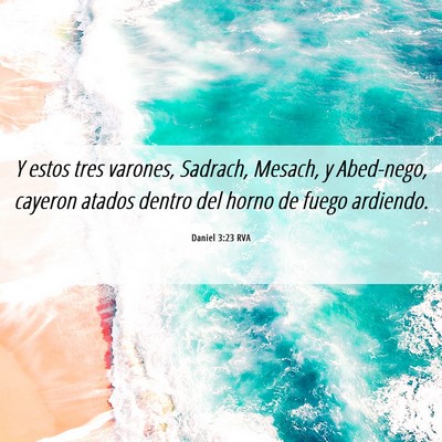 Picture 06 - Daniel 3:23 RVA - Y estos tres varones, Sadrach, Mesach, y - Bible Verse Picture
