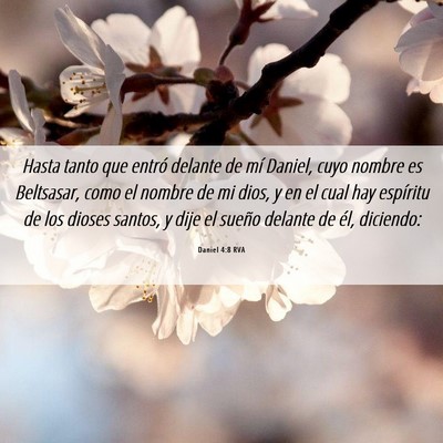 Picture 06 - Daniel 4:8 RVA - Hasta tanto que entró delante de mí Daniel, - Bible Verse Picture
