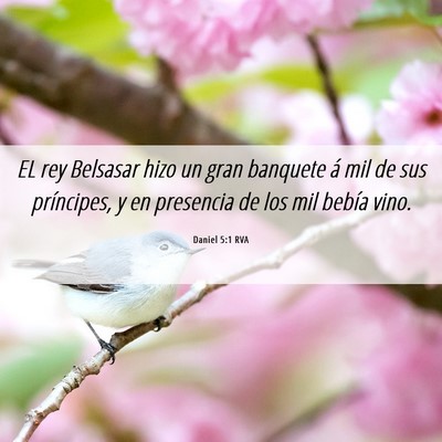 Picture 06 - Daniel 5:1 RVA - EL rey Belsasar hizo un gran banquete á mil de - Bible Verse Picture