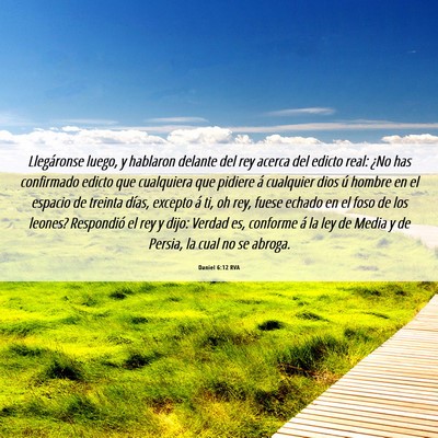 Picture 06 - Daniel 6:12 RVA - Llegáronse luego, y hablaron delante del rey - Bible Verse Picture