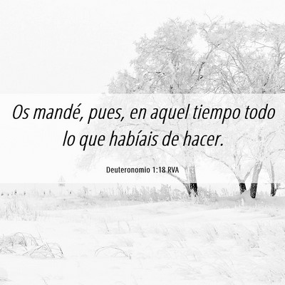 Picture 06 - Deuteronomio 1:18 RVA - Os mandé, pues, en aquel tiempo todo lo que - Bible Verse Picture