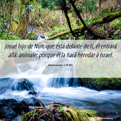 Picture 06 - Deuteronomio 1:38 RVA - Josué hijo de Nun, que está delante de ti, él - Bible Verse Picture
