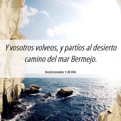 Picture 06 - Deuteronomio 1:40 RVA - Y vosotros volveos, y partíos al desierto camino - Bible Verse Picture