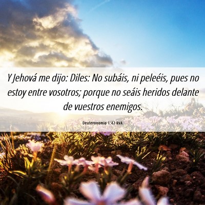Picture 06 - Deuteronomio 1:42 RVA - Y Jehová me dijo: Diles: No subáis, ni - Bible Verse Picture