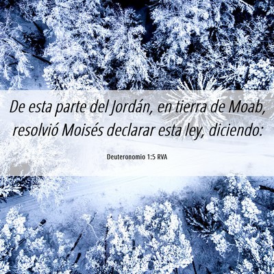 Picture 06 - Deuteronomio 1:5 RVA - De esta parte del Jordán, en tierra de Moab, - Bible Verse Picture