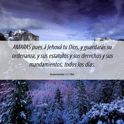 Picture 06 - Deuteronomio 11:1 RVA - AMARAS pues á Jehová tu Dios, y guardarás su - Bible Verse Picture