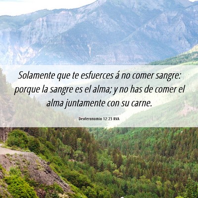 Picture 06 - Deuteronomio 12:23 RVA - Solamente que te esfuerces á no comer sangre: - Bible Verse Picture