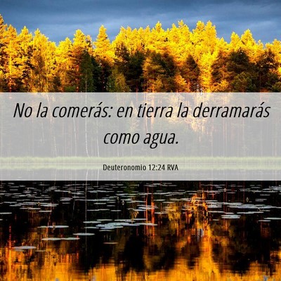 Picture 06 - Deuteronomio 12:24 RVA - No la comerás: en tierra la derramarás como - Bible Verse Picture