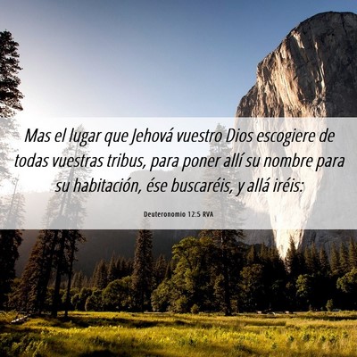 Picture 06 - Deuteronomio 12:5 RVA - Mas el lugar que Jehová vuestro Dios escogiere - Bible Verse Picture
