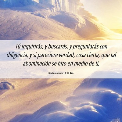 Picture 06 - Deuteronomio 13:14 RVA - Tú inquirirás, y buscarás, y preguntarás con - Bible Verse Picture