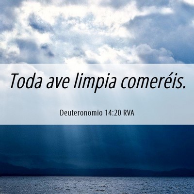 Picture 06 - Deuteronomio 14:20 RVA - Toda ave limpia - Bible Verse Picture
