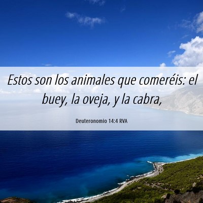 Picture 06 - Deuteronomio 14:4 RVA - Estos son los animales que comeréis: el buey, la - Bible Verse Picture