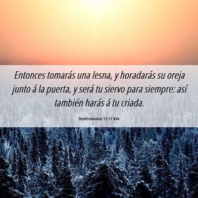 Picture 06 - Deuteronomio 15:17 RVA - Entonces tomarás una lesna, y horadarás su - Bible Verse Picture