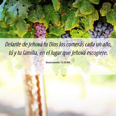 Picture 06 - Deuteronomio 15:20 RVA - Delante de Jehová tu Dios los comerás cada un - Bible Verse Picture
