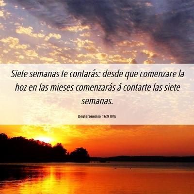 Picture 06 - Deuteronomio 16:9 RVA - Siete semanas te contarás: desde que comenzare - Bible Verse Picture