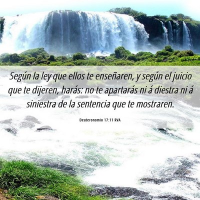 Picture 06 - Deuteronomio 17:11 RVA - Según la ley que ellos te enseñaren, y según - Bible Verse Picture