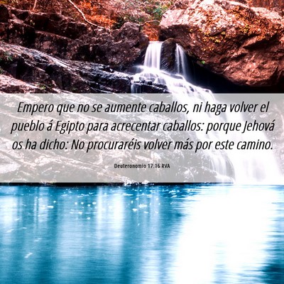 Picture 06 - Deuteronomio 17:16 RVA - Empero que no se aumente caballos, ni haga volver - Bible Verse Picture