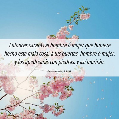 Picture 06 - Deuteronomio 17:5 RVA - Entonces sacarás al hombre ó mujer que hubiere - Bible Verse Picture