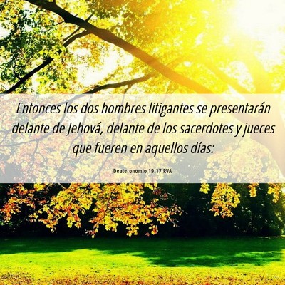 Picture 06 - Deuteronomio 19:17 RVA - Entonces los dos hombres litigantes se - Bible Verse Picture