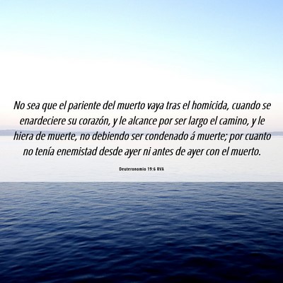 Picture 06 - Deuteronomio 19:6 RVA - No sea que el pariente del muerto vaya tras el - Bible Verse Picture
