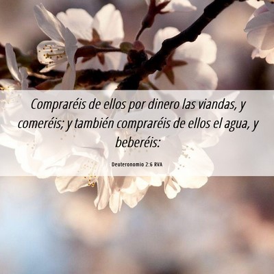 Picture 06 - Deuteronomio 2:6 RVA - Compraréis de ellos por dinero las viandas, y - Bible Verse Picture