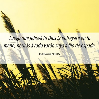 Picture 06 - Deuteronomio 20:13 RVA - Luego que Jehová tu Dios la entregare en tu - Bible Verse Picture