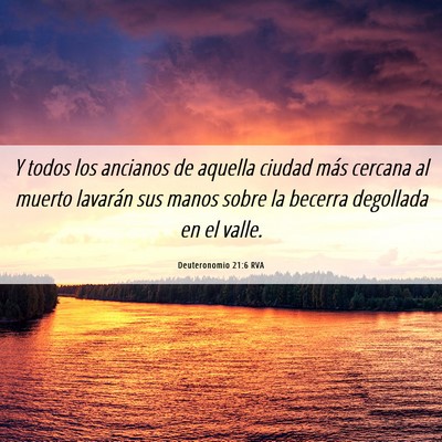 Picture 06 - Deuteronomio 21:6 RVA - Y todos los ancianos de aquella ciudad más - Bible Verse Picture