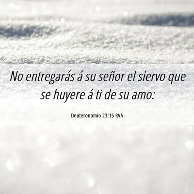Picture 06 - Deuteronomio 23:15 RVA - No entregarás á su señor el siervo que se - Bible Verse Picture
