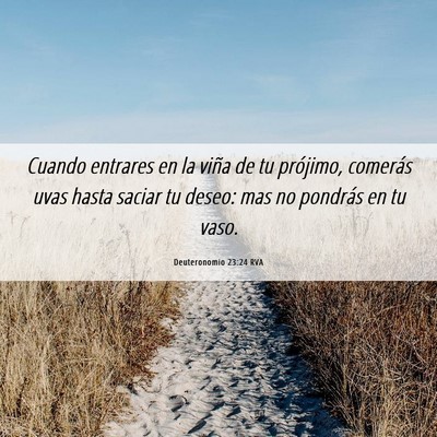 Picture 06 - Deuteronomio 23:24 RVA - Cuando entrares en la viña de tu prójimo, - Bible Verse Picture