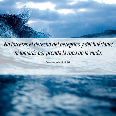 Picture 06 - Deuteronomio 24:17 RVA - No torcerás el derecho del peregrino y del - Bible Verse Picture