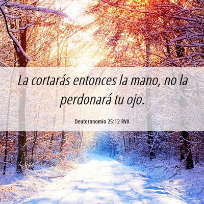 Picture 06 - Deuteronomio 25:12 RVA - La cortarás entonces la mano, no la perdonará - Bible Verse Picture