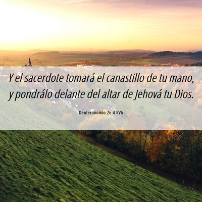 Picture 06 - Deuteronomio 26:4 RVA - Y el sacerdote tomará el canastillo de tu mano, - Bible Verse Picture
