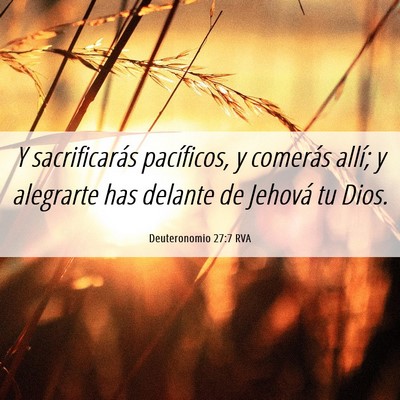 Picture 06 - Deuteronomio 27:7 RVA - Y sacrificarás pacíficos, y comerás allí; y - Bible Verse Picture