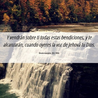 Picture 06 - Deuteronomio 28:2 RVA - Y vendrán sobre ti todas estas bendiciones, y te - Bible Verse Picture