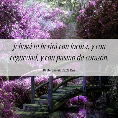 Picture 06 - Deuteronomio 28:28 RVA - Jehová te herirá con locura, y con ceguedad, y - Bible Verse Picture