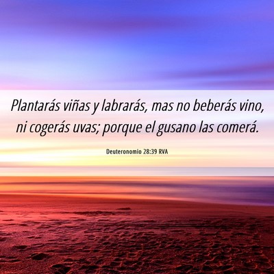 Picture 06 - Deuteronomio 28:39 RVA - Plantarás viñas y labrarás, mas no beberás - Bible Verse Picture