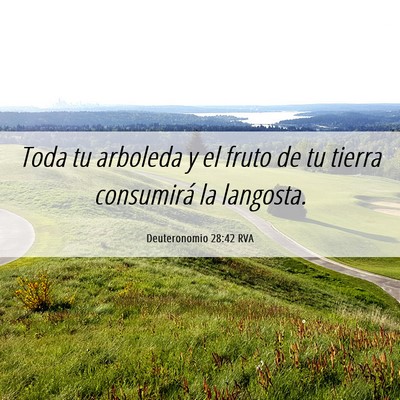 Picture 06 - Deuteronomio 28:42 RVA - Toda tu arboleda y el fruto de tu tierra - Bible Verse Picture