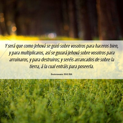 Picture 06 - Deuteronomio 28:63 RVA - Y será que como Jehová se gozó sobre vosotros - Bible Verse Picture
