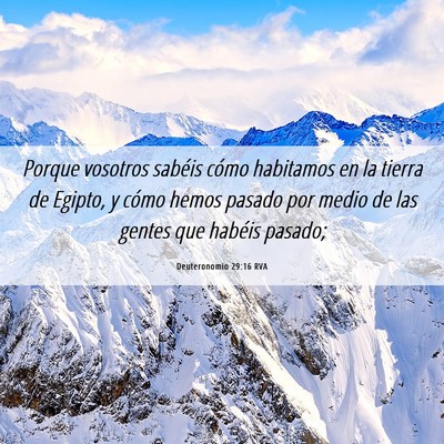 Picture 06 - Deuteronomio 29:16 RVA - Porque vosotros sabéis cómo habitamos en la - Bible Verse Picture