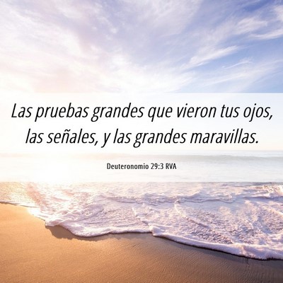 Picture 06 - Deuteronomio 29:3 RVA - Las pruebas grandes que vieron tus ojos, las - Bible Verse Picture